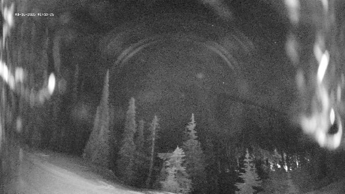Revelstoke Mountain Resort -  Ripper Webcam