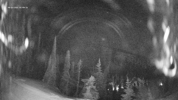 Revelstoke Mountain Resort -  Ripper Webcam
