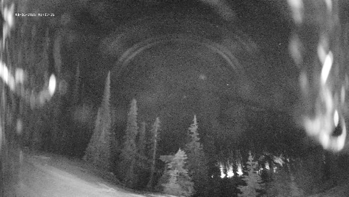 Revelstoke Mountain Resort -  Ripper Webcam